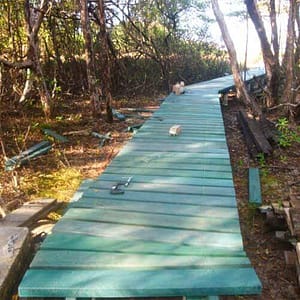 Sendero, rampas, corredores, carriles en ruta ecologica modular fabricada en plastico polipropileno